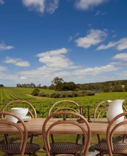 Rows of Grapes Vineyard Wallpaper