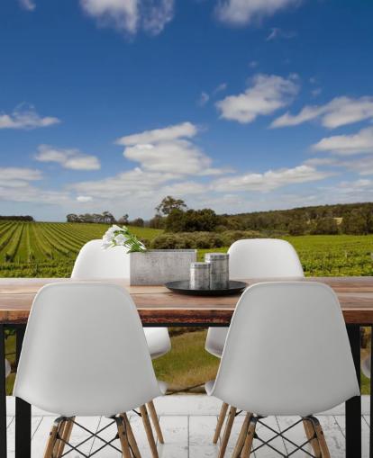 Rows of Grapes Vineyard Wallpaper