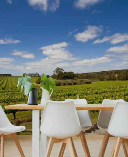 Rows of Grapes Vineyard Wallpaper