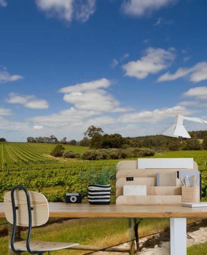 Rows of Grapes Vineyard Wallpaper