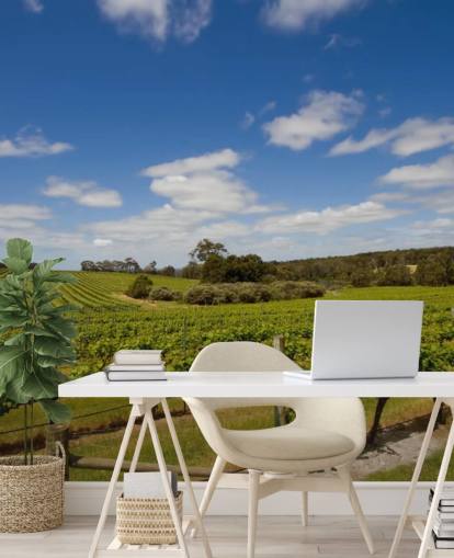 Papel pintado Viñedo Filas de uvas