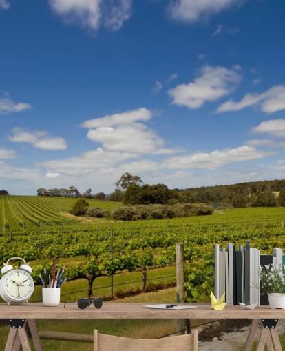 Rows of Grapes Vineyard Wallpaper