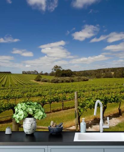 Rows of Grapes Vineyard Wallpaper