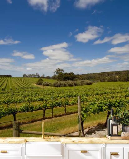 Rows of Grapes Vineyard Wallpaper Rows of Grapes Vineyard Wallpaper