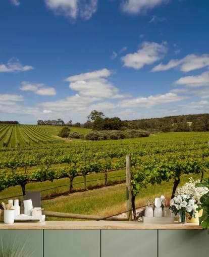 Rows of Grapes Vineyard Wallpaper