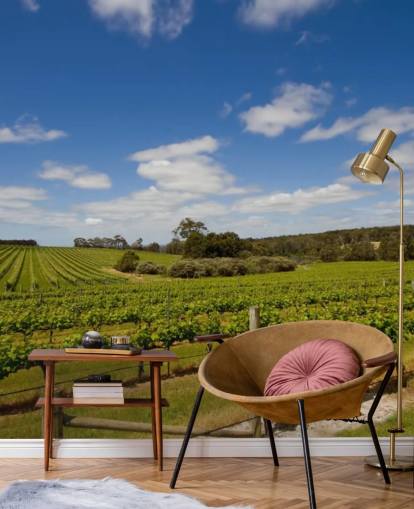 Rows of Grapes Vineyard Wallpaper