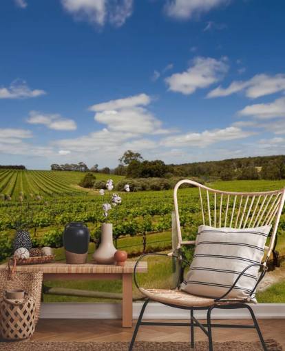 Rows of Grapes Vineyard Wallpaper Rows of Grapes Vineyard Wallpaper