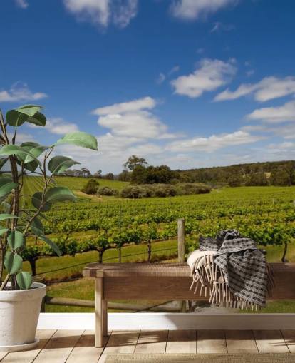 Rows of Grapes Vineyard Wallpaper