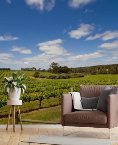 Papel pintado Viñedo Filas de uvas