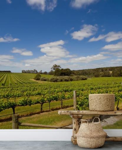 Rows of Grapes Vineyard Wallpaper