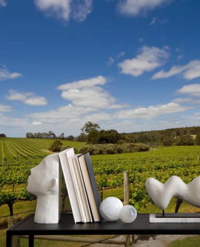 Papel pintado Viñedo Filas de uvas