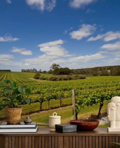 Papel pintado Viñedo Filas de uvas