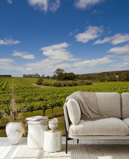 Papel pintado Viñedo Filas de uvas