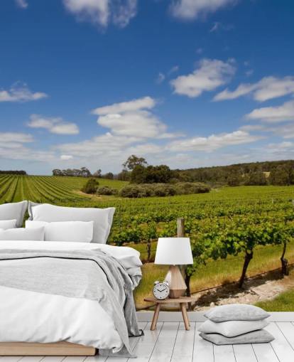 Rækker af druer Vineyard Baggrund Rækker af druer Vineyard Baggrund