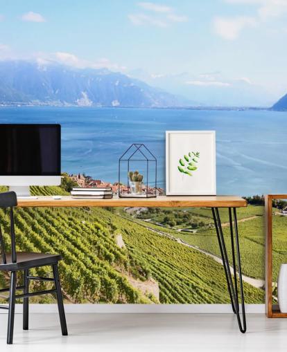 Decorazione murale con vigneto costiero