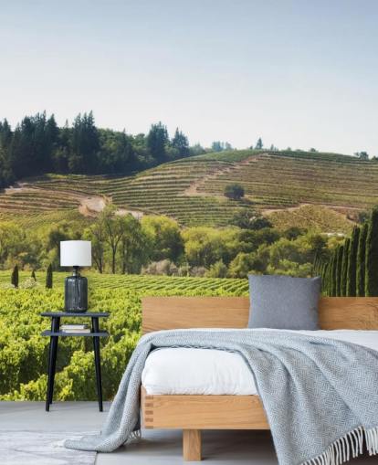 California Vineyards behang