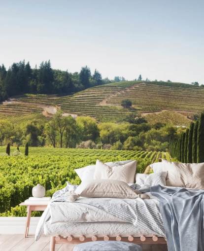 California Vineyards Wallpaper California Vineyards Wallpaper