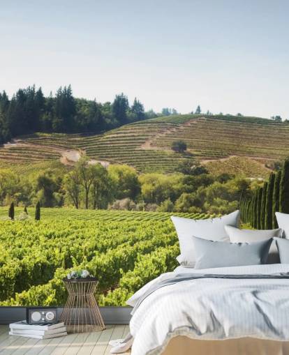 California Vineyards Wallpaper