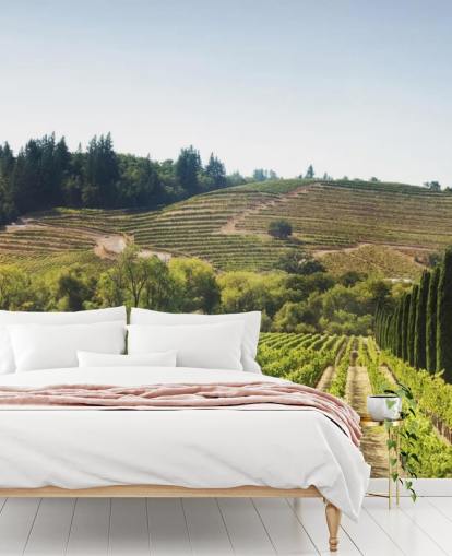 California Vineyards Wallpaper