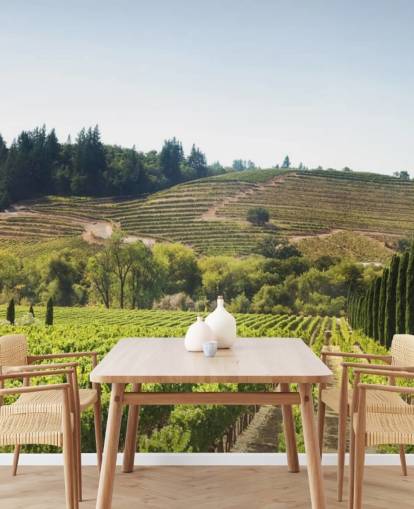 California Vineyards Wallpaper