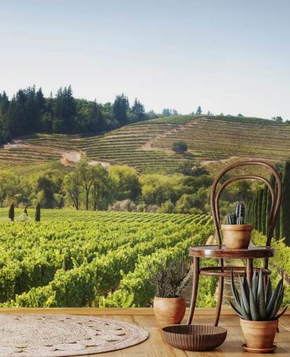 California Vineyards Wallpaper