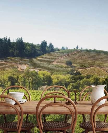 Sfondo California Vineyards