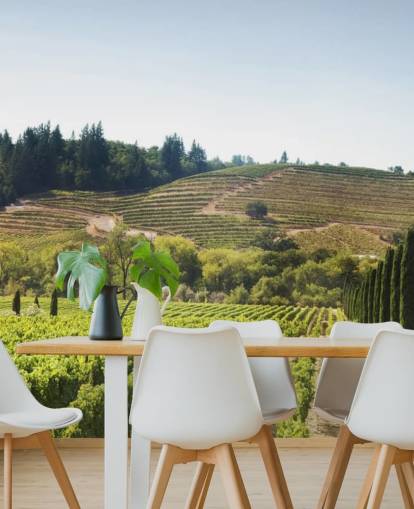 California Vineyards Wallpaper