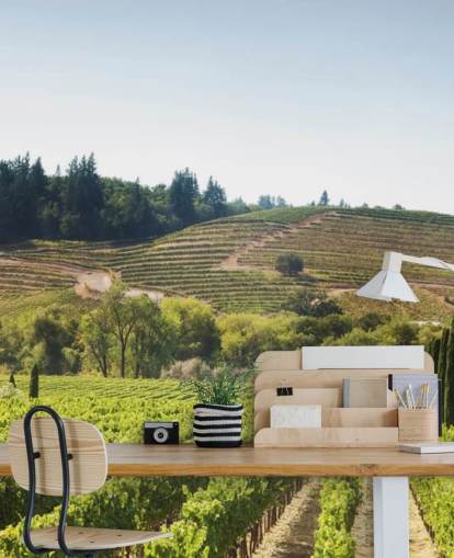 California Vineyards Wallpaper