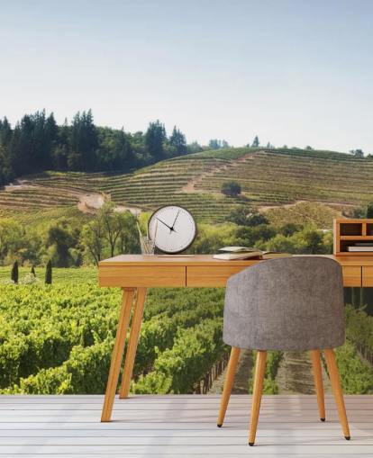 California Vineyards Wallpaper