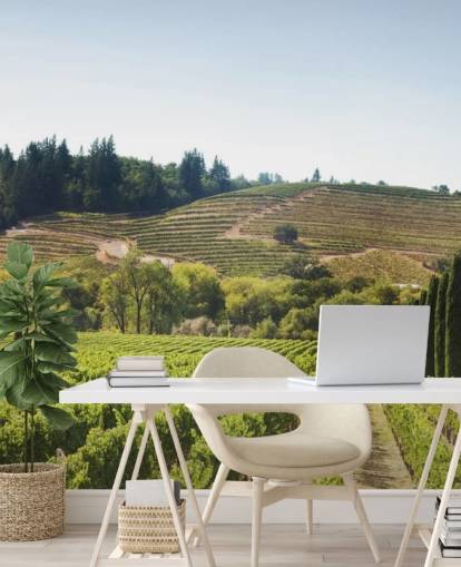 California Vineyards Wallpaper