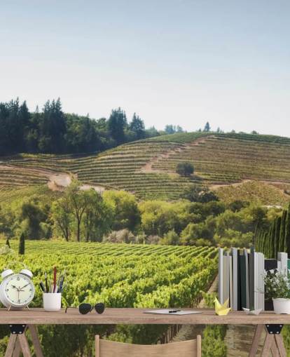 California Vineyards Wallpaper California Vineyards Wallpaper