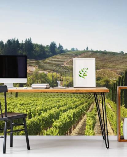 California Vineyards Wallpaper