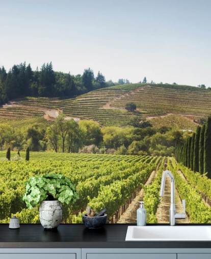 California Vineyards Wallpaper