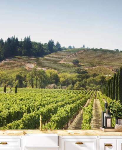 California Vineyards Wallpaper California Vineyards Wallpaper