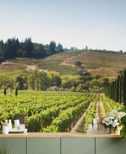 Kalifornien Weinberge Tapete