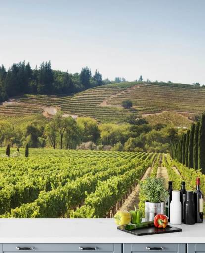 Kalifornien Weinberge Tapete