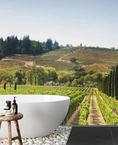 Papier peint des vignobles de