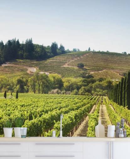 Papier peint des vignobles de