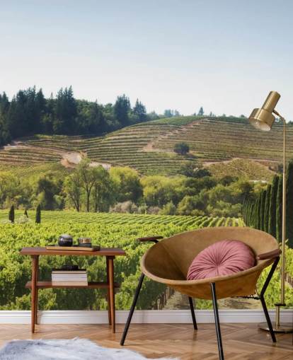 California Vineyards Wallpaper California Vineyards Wallpaper