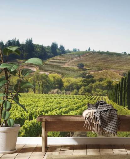 California Vineyards Wallpaper