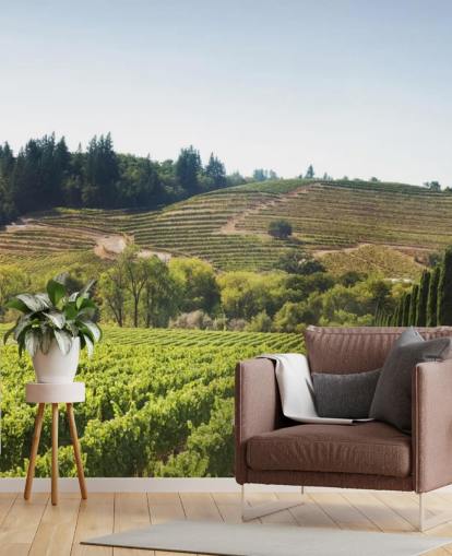 Kalifornien Weinberge Tapete Kalifornien Weinberge Tapete