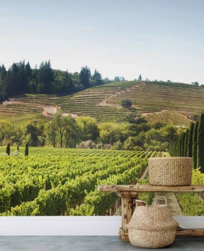 California Vineyards Wallpaper