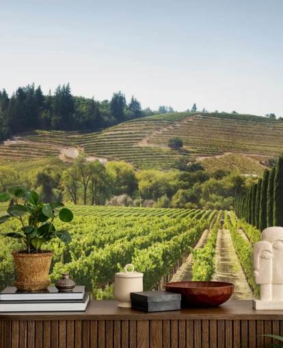 California Vineyards Wallpaper California Vineyards Wallpaper