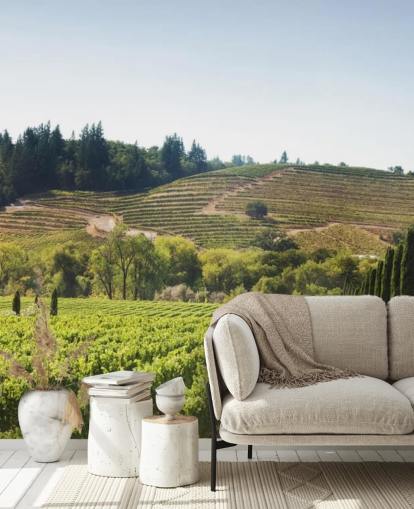 California Vineyards Wallpaper