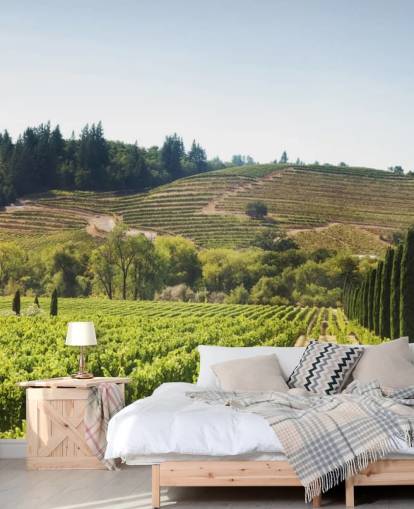 California Vineyards Wallpaper California Vineyards Wallpaper
