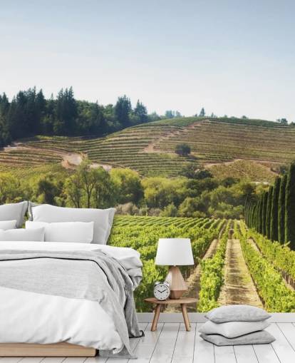 California Vineyards Bakgrunn