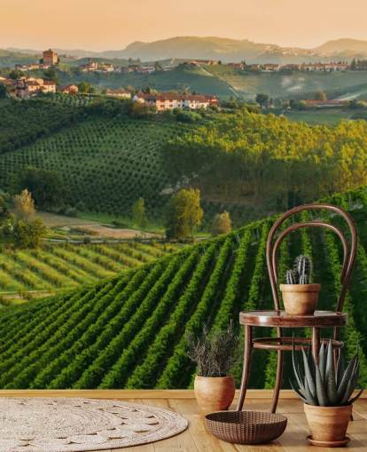 Italian Vineyard Landscape Wall Mural