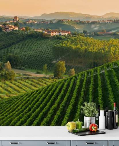 Italiaanse wijngaard landschap muurschildering