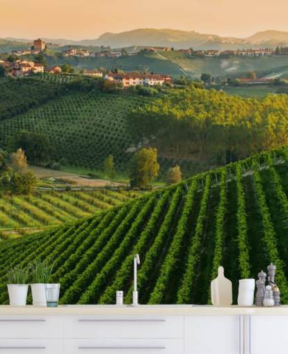 Italian Vineyard Landscape Wall Mural