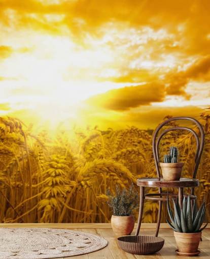 Golden Sunset in Wheat Field Wall Mural